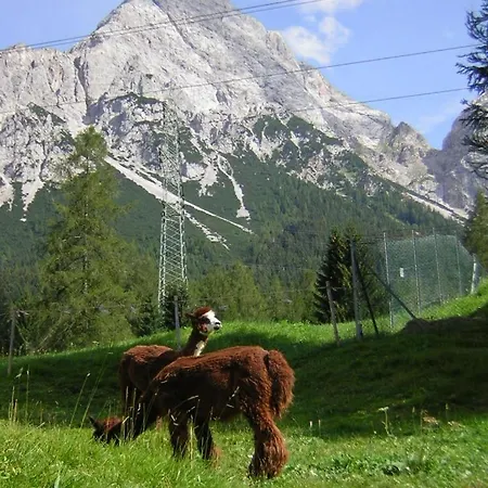 Guest house Gaestehaus Panorama Biberwier