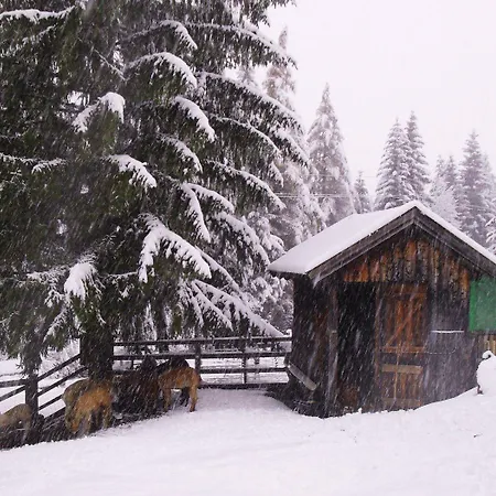 Pensión Gaestehaus Panorama