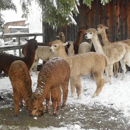 Konukevi Gaestehaus Panorama Biberwier