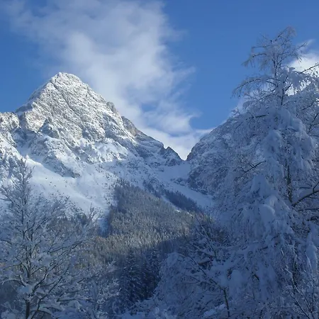Guest house Gaestehaus Panorama