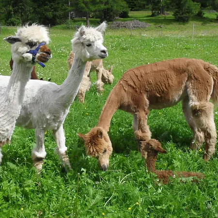 Gaestehaus Panorama Biberwier
