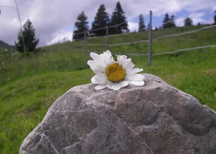 Pensjonat Gaestehaus Panorama 3*