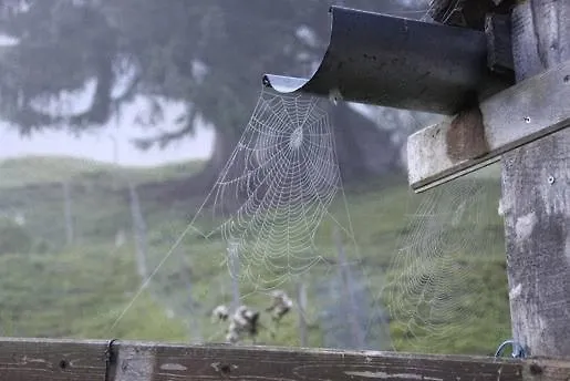 Pensjonat Gaestehaus Panorama Biberwier