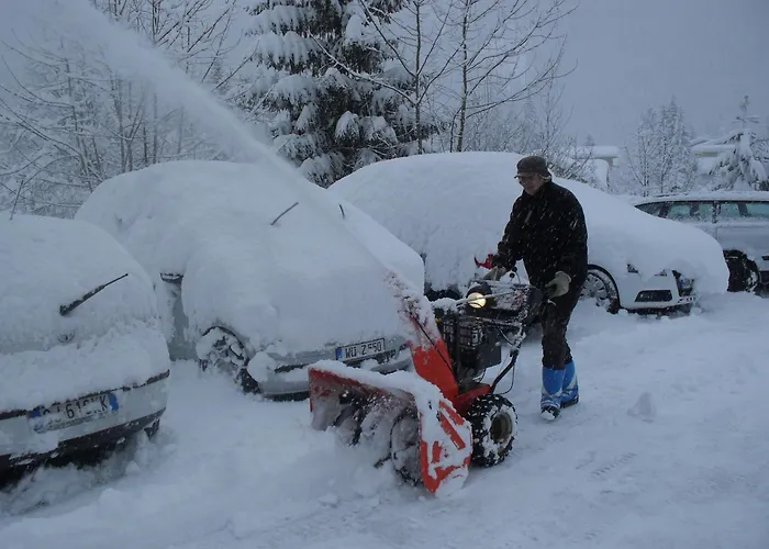 Pensjonat Gaestehaus Panorama Biberwier