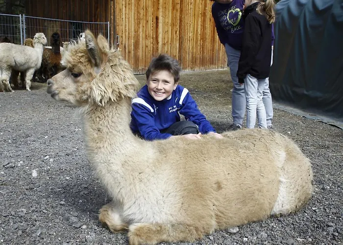 Pensjonat Gaestehaus Panorama 3*