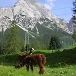 Vendégház Gaestehaus Panorama Biberwier