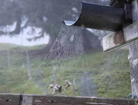 Gasthof Panorama Biberwier